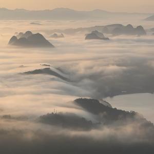 林里听风吟