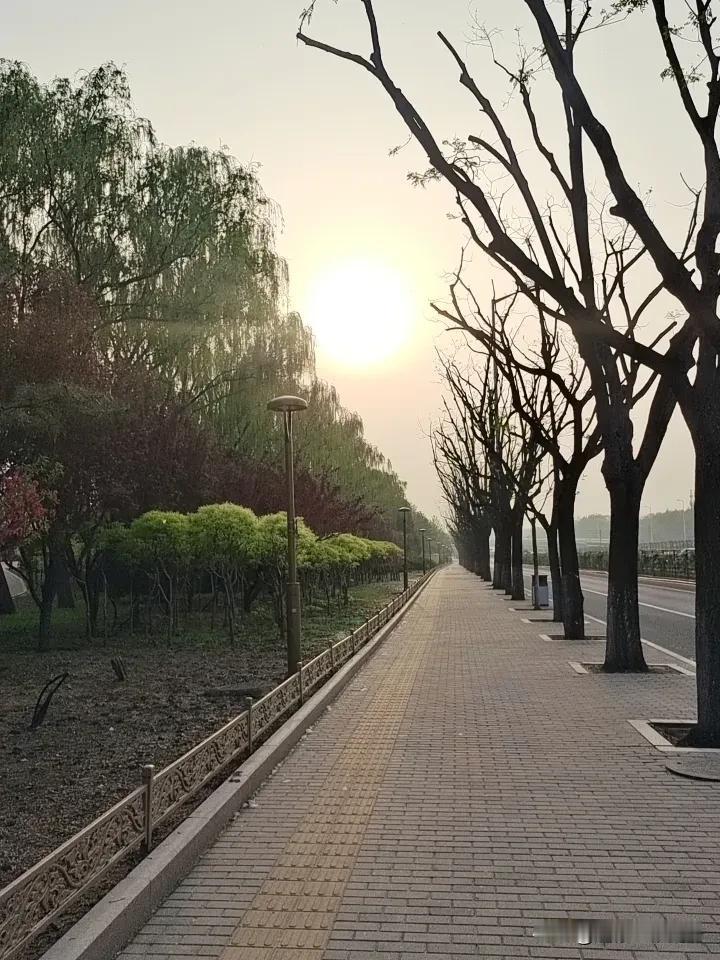 有风听风，有雨看雨，
生活并没有深意，
幸福和遗憾都在日常里。

真正的勇气不是