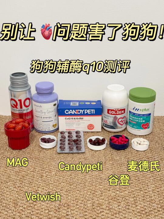 狗狗辅酶q10｜日常养心怎么选？