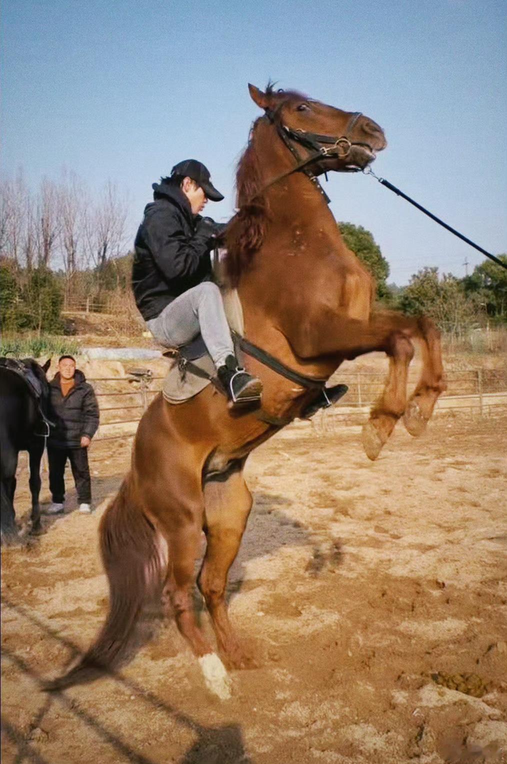 谁拍的何与，大半夜我要笑醒了 