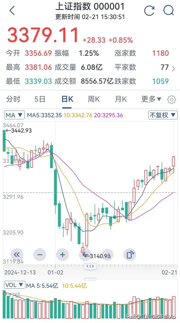 现在到底是不是牛市呢？
过年后自2月5日到2月21日，短短13个交易日，大盘从3