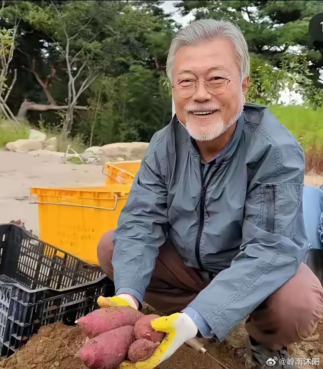 73岁的文在寅如今回归田园，亲自下地挖红薯，靠自己的双手自食其力。尽管他每月享有