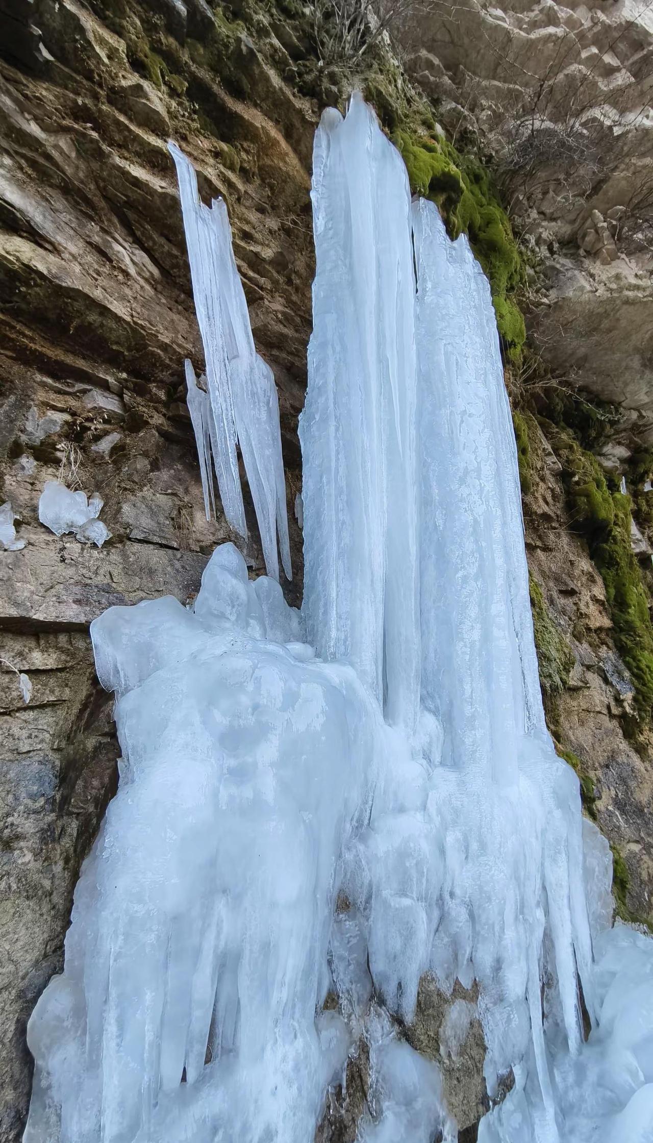 有约的吗中条山里野一圈