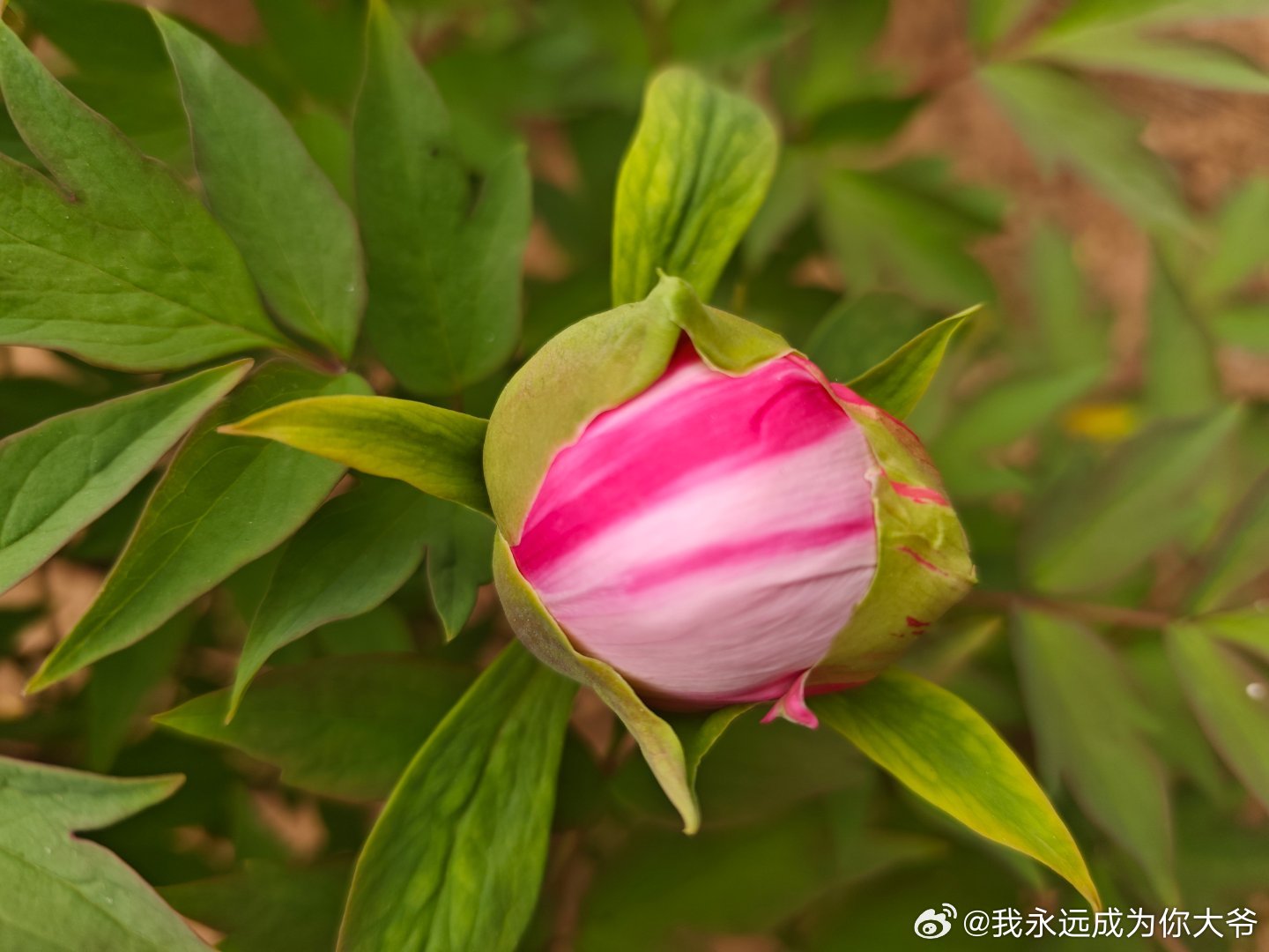 心放宽万事皆柔软世界上最宽阔的是海洋，比海洋更宽阔的是天空.比天空更宽阔的是人的