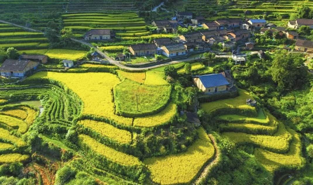 田埂系乡愁

田埂，是田野间隆起的土脊，是田地间最朴实的界线，亦是农人四季耕作、
