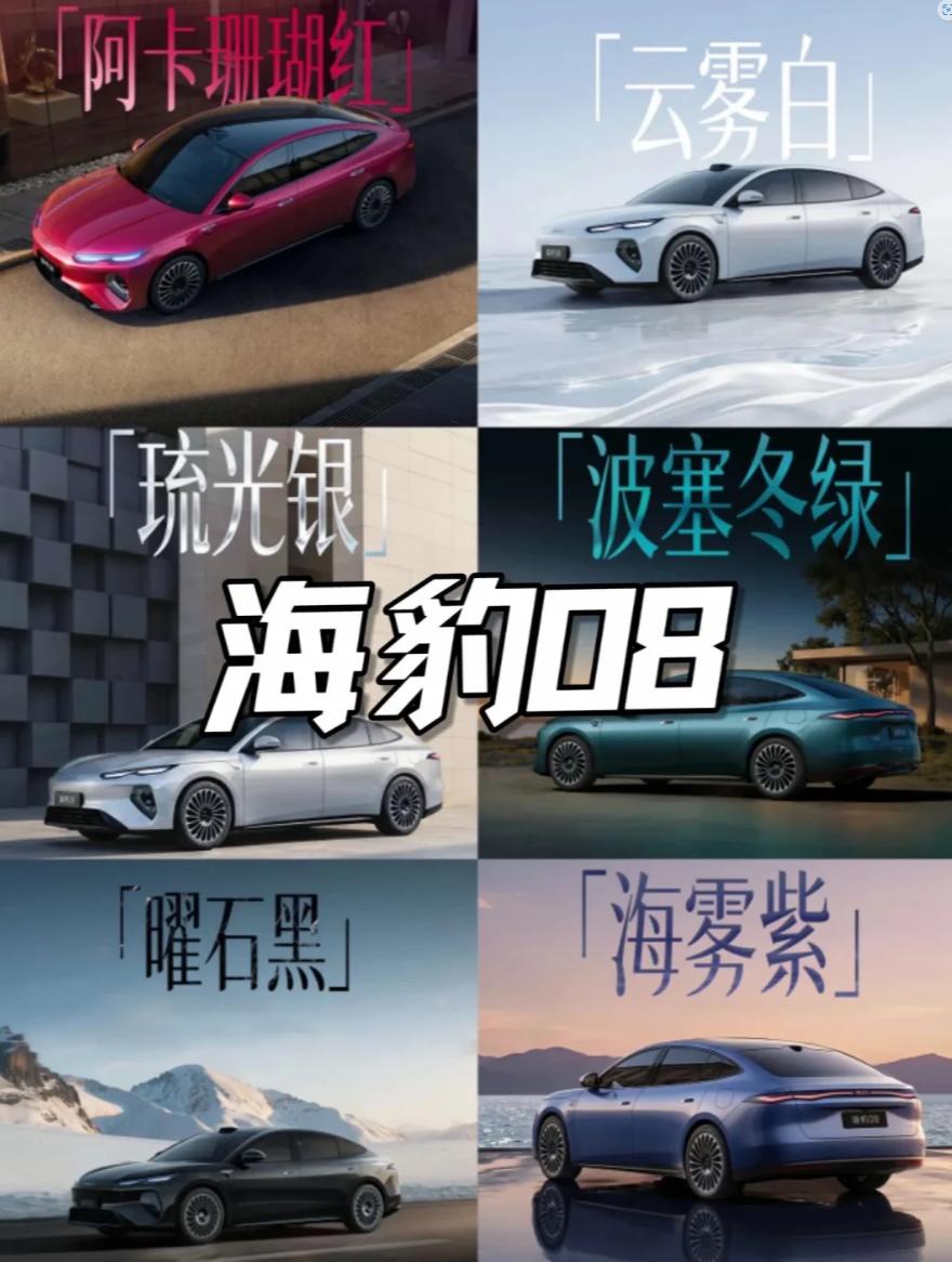 比亚迪智能座舱UI设计大赛冠军作品将搭载于海豹08，这操作挺新鲜
今天看新闻发现