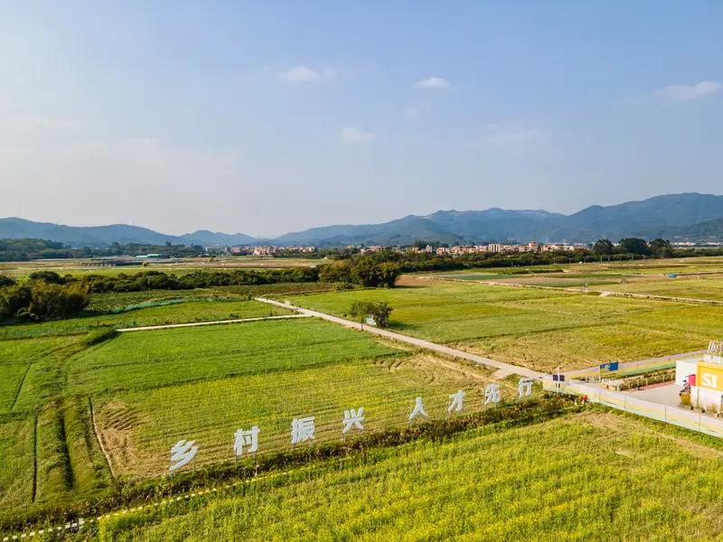 连点成片 乡村振兴“连点成片”，正绘就一幅壮美画卷。以往单个村庄各自为战，东村种