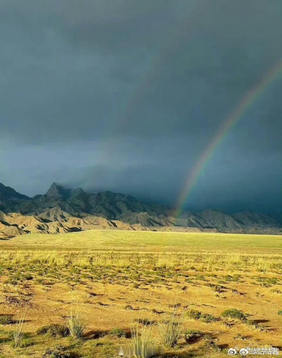 生命树实景拍摄质感拉满生命树实景拍摄的质感 拍摄质感拉满啊 