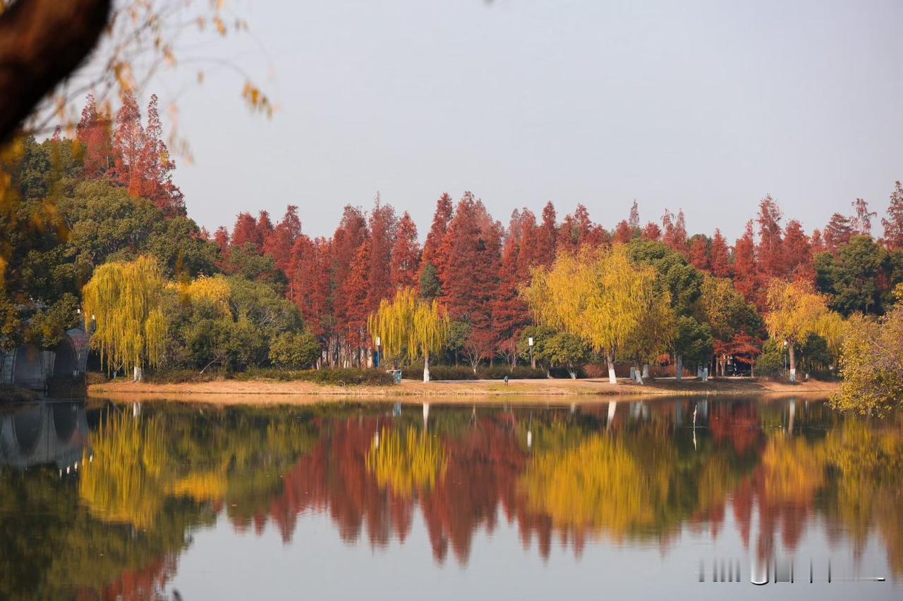 湖边树木倒映，景色美如画。