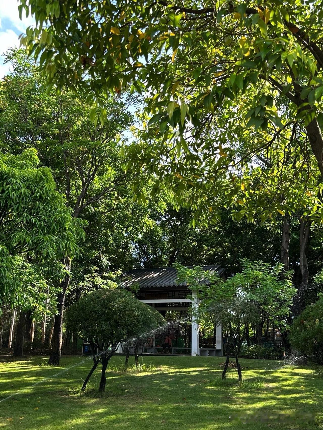 🌿春日漫游归陌亭｜城市绿洲里的慢跑秘境

被问爆的宝藏跑步地！藏在城市边缘的治