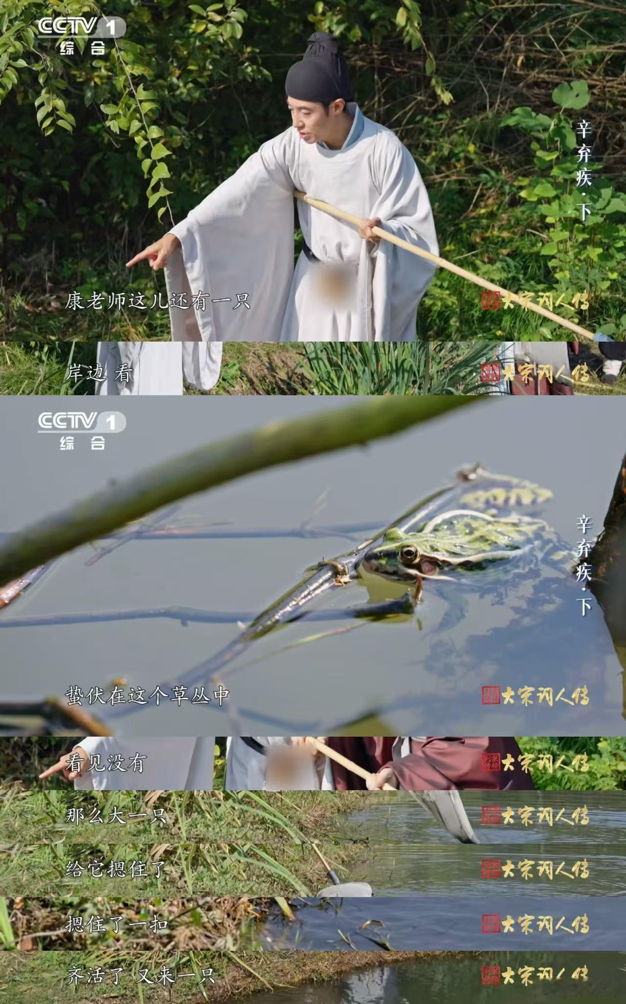撒贝宁学古人抓青蛙保护庄稼 撒贝宁化身“农田守护者”，get古人同款技能！亲手将