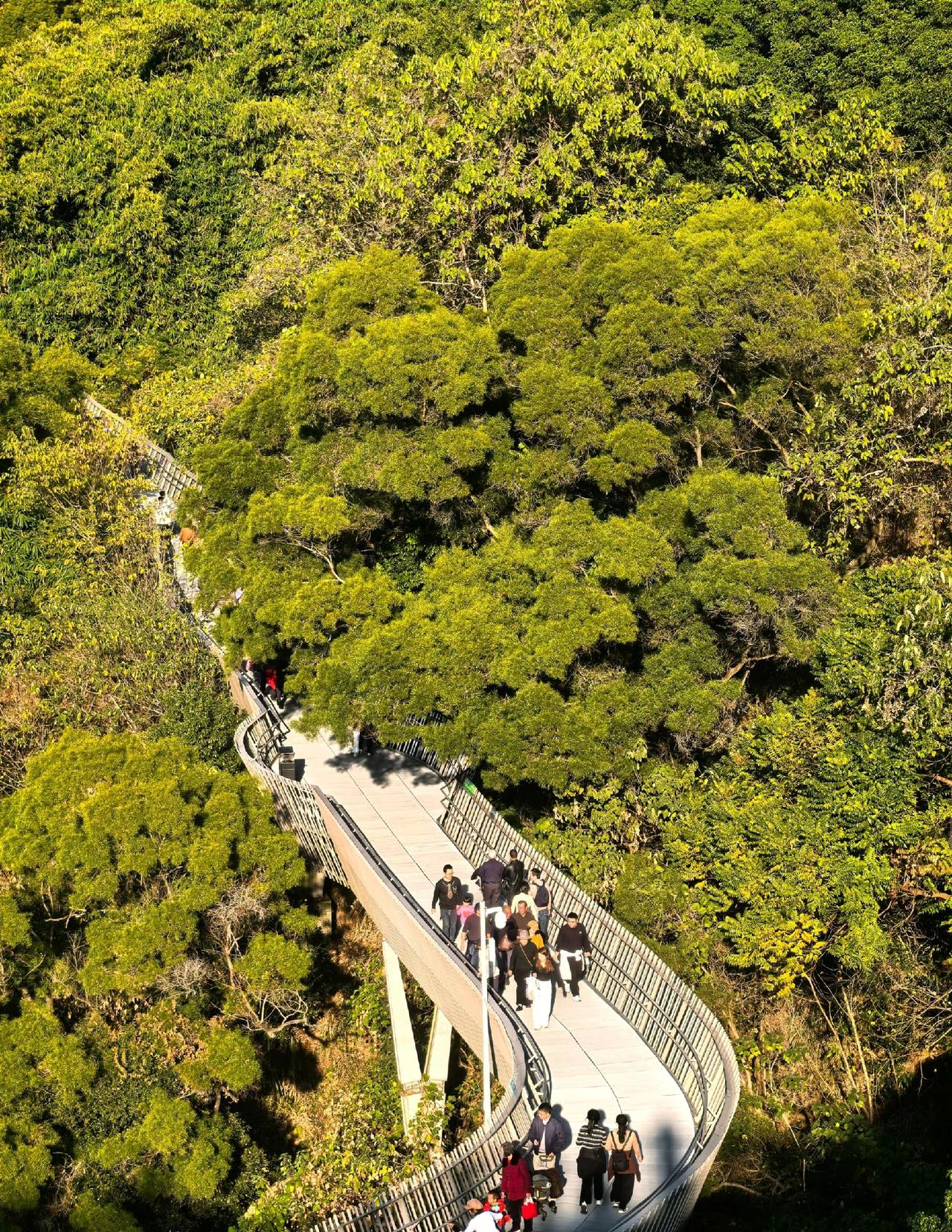这些年福建的变化确实是迅猛的，而且这样的变化是积极的、向上的。前些年我在外漂泊了