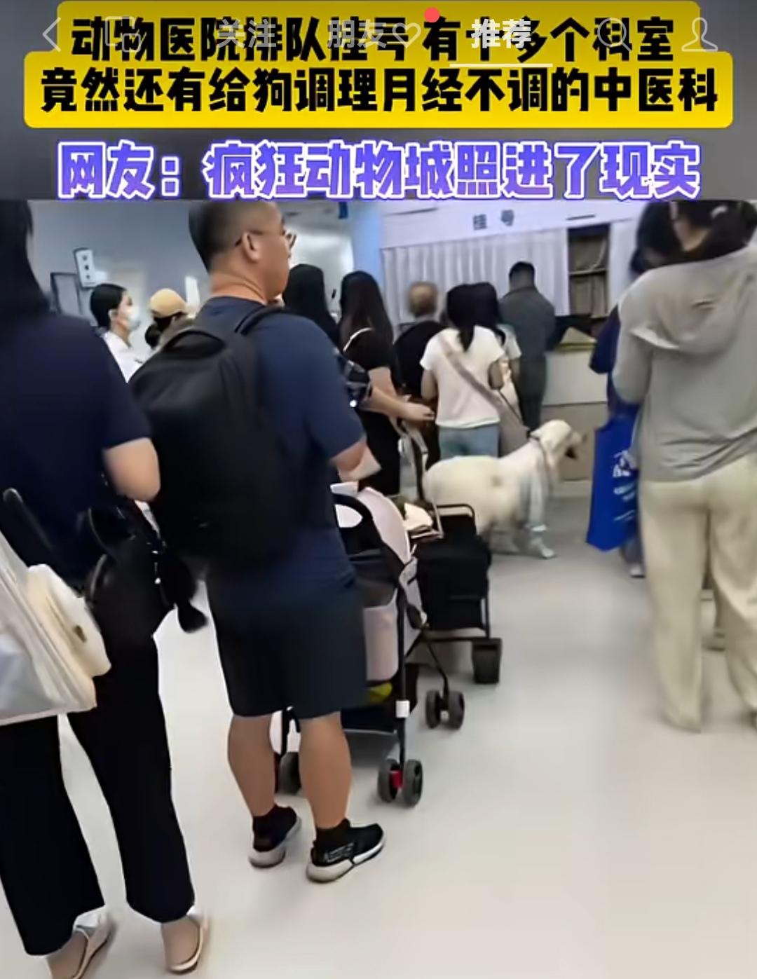 宠物医院，人挤人，猫呀狗呀推着的，抱着的。医院有10个科室，甚至还有月经不调科。