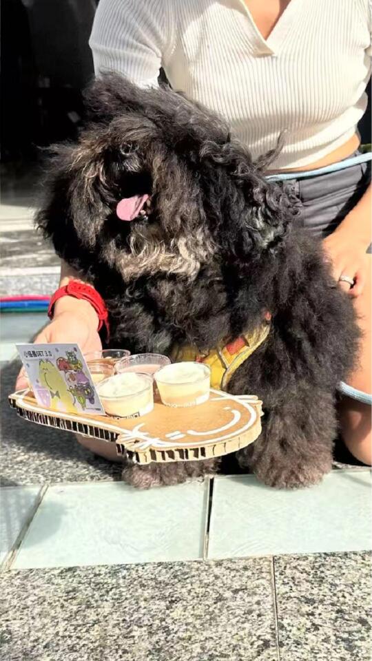 小熊我去喝咖啡啦