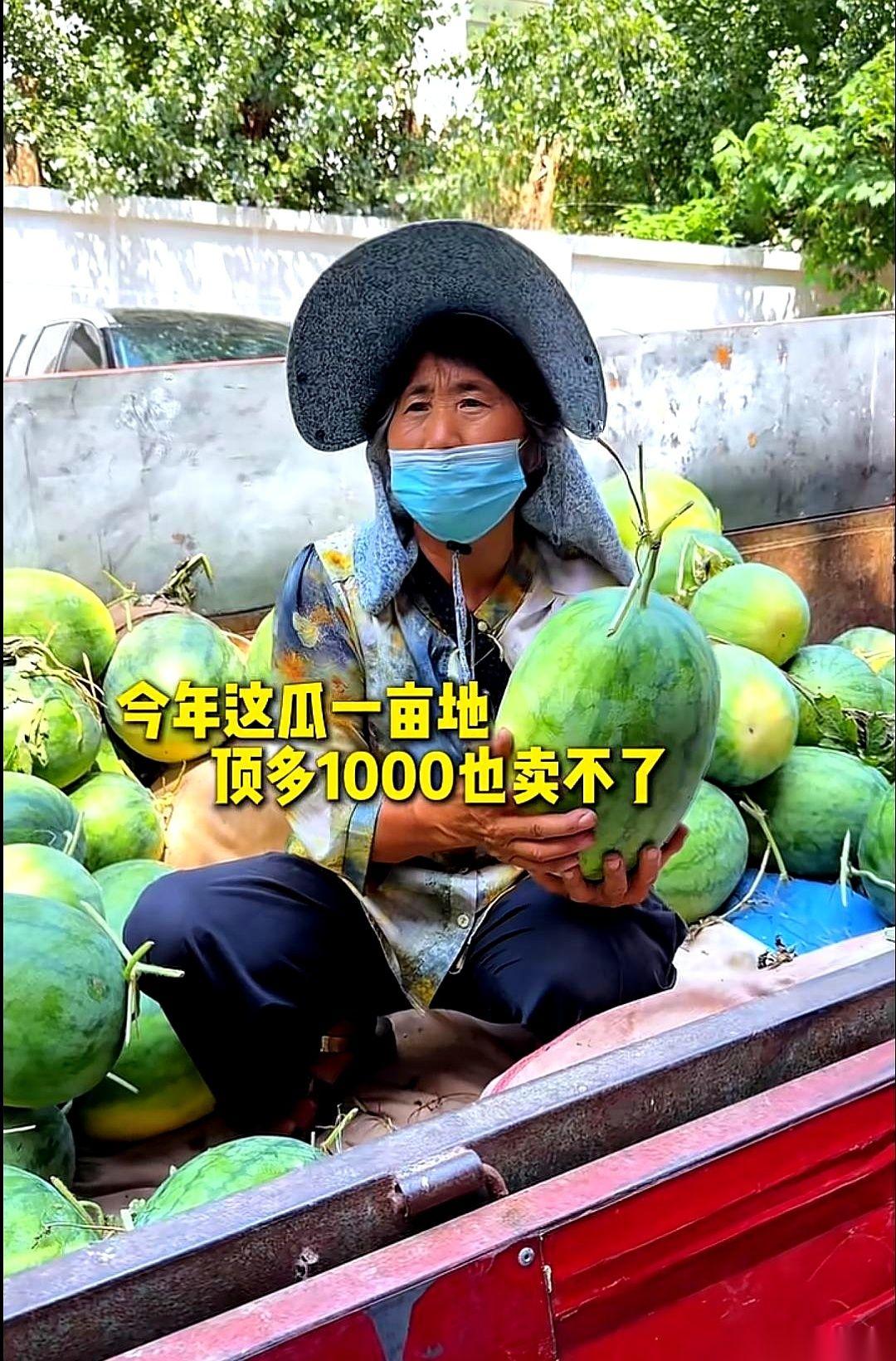 一辆满是泥点子的拖拉机，在许昌一家装修公司门口突突突地熄了火。
车上拉着一整车西