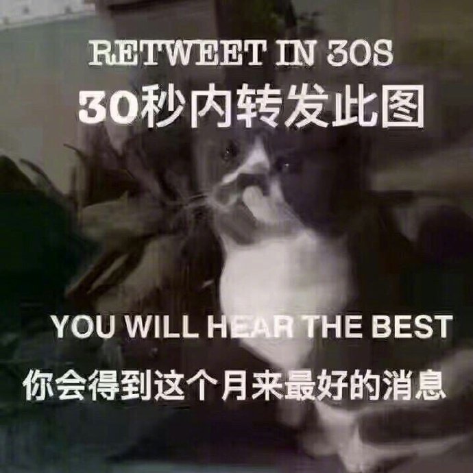 我也试试，万一是真的呢？！🍀🍀🍀 