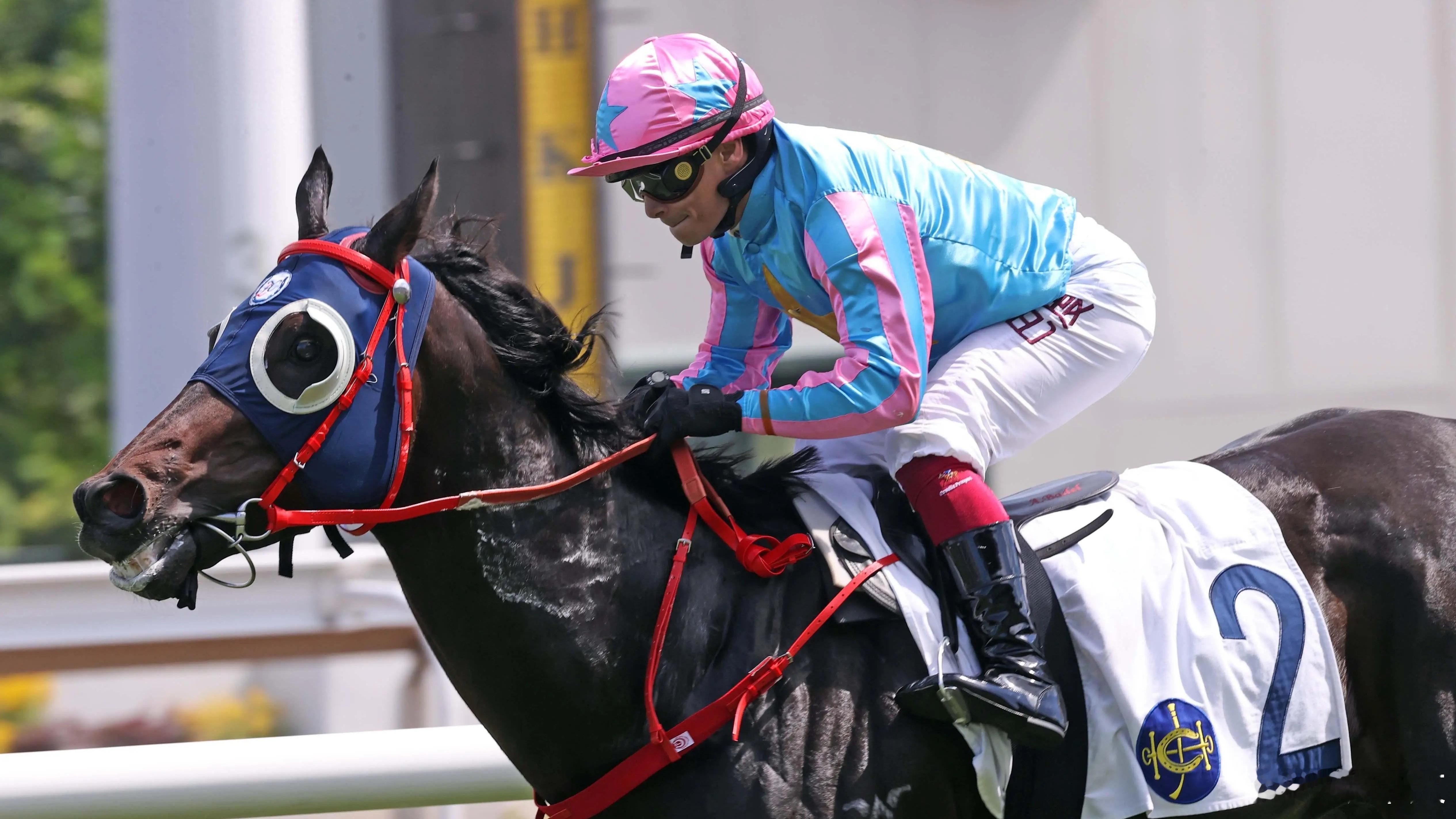 央视新闻揭秘啦！粤港澳大湾区虽无辽阔草原，却挡不住马儿“狂飙”！每周上百匹次广州