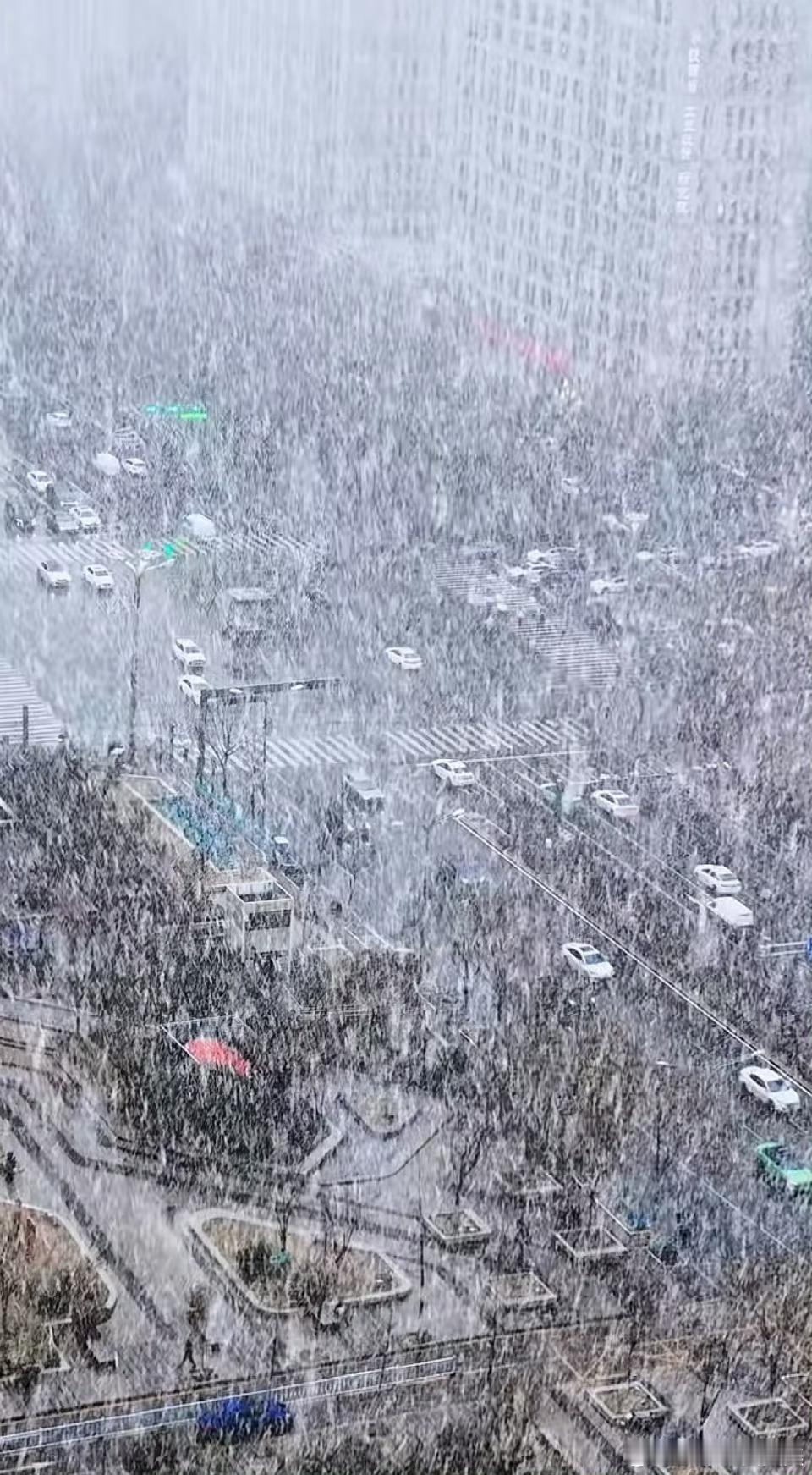 西安大雪我还以为是特效