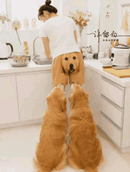 这想法太好了。