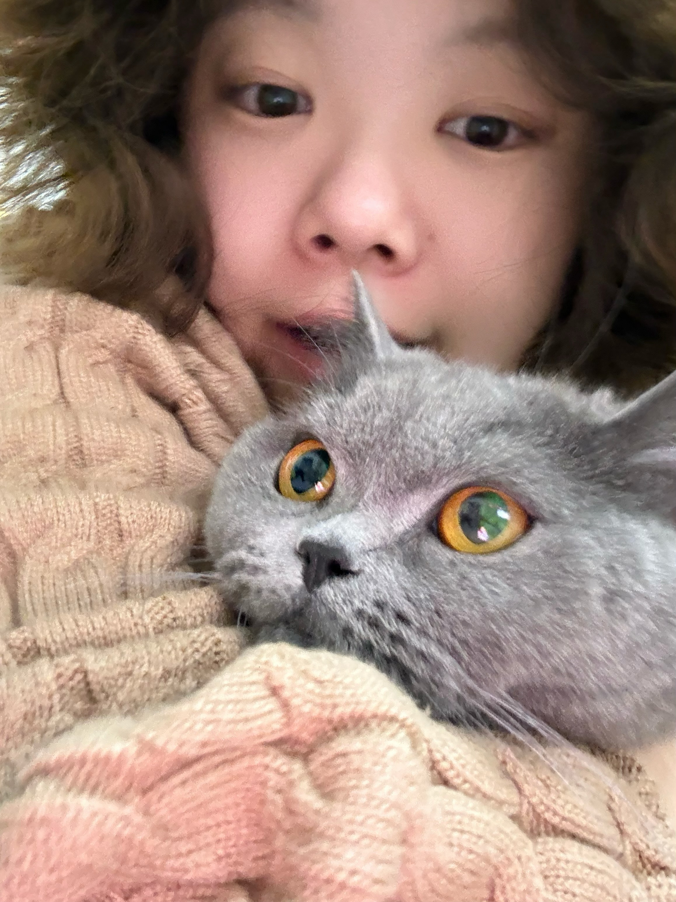 在姥姥床下躲一天大家睡觉了才敢出来溜达的小团，春晚播到妈妈的电影院正好在抱着我的