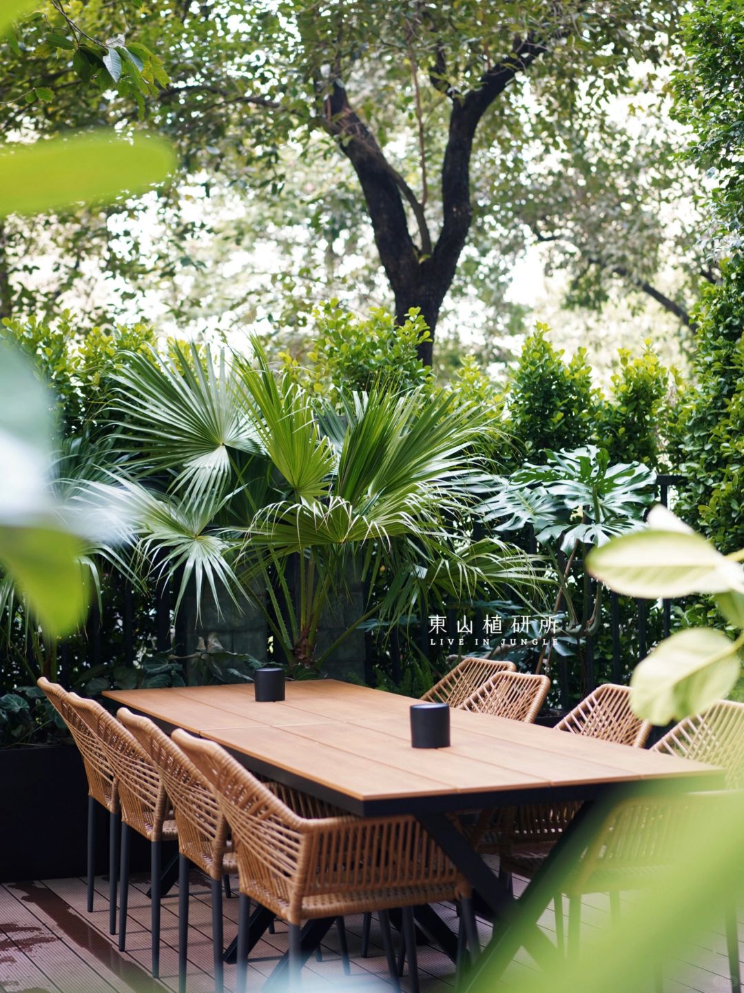 绿植软装|慵懒度假风户外绿植布置🌳