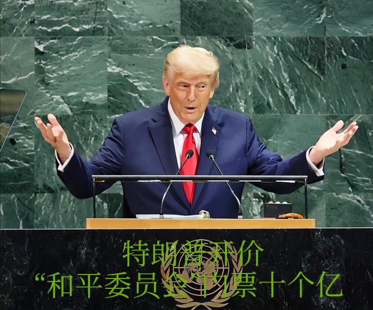10亿美元门票看一场“特朗普式和平”？这出闹剧谁会买单？
 
十亿美元一张“门票
