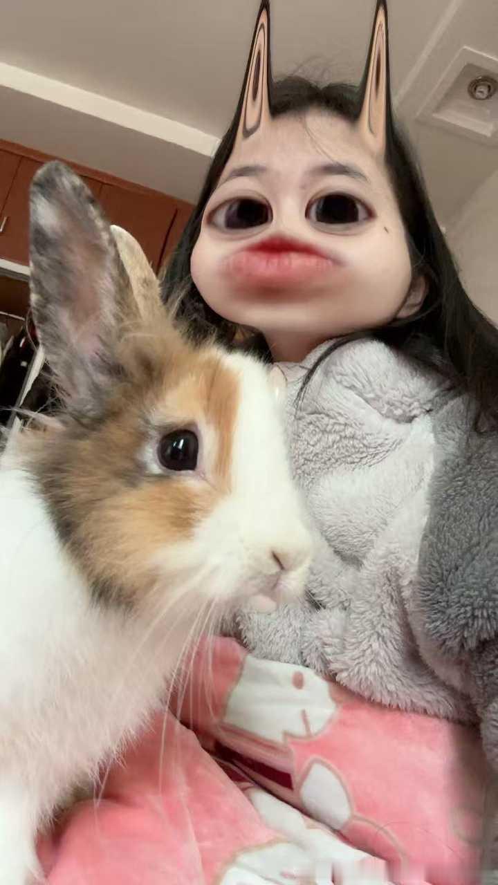 14528🐇【被特效误伤的兔】 