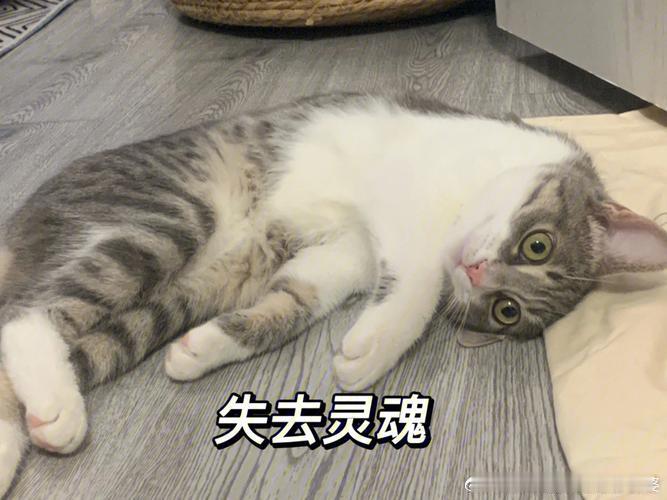 泡泡玛特开始五折甩卖了娃娃没故事没内核，等同于没生命，五折甩卖都算好的 