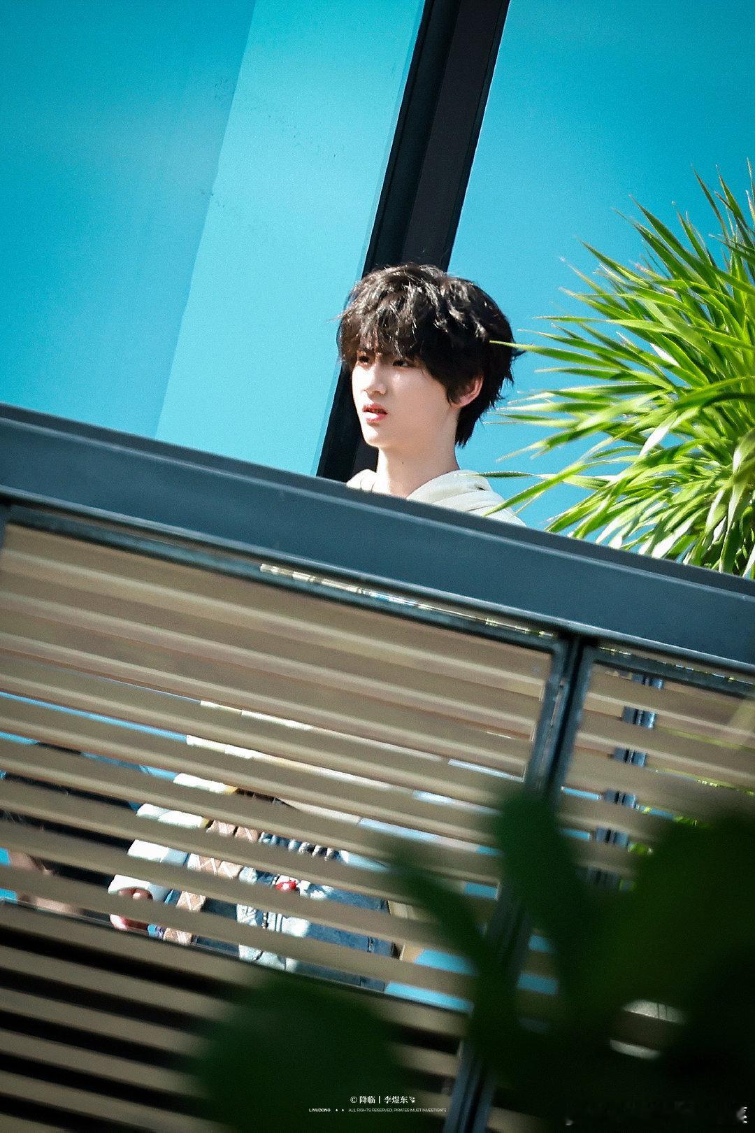 tg 小卷毛李煜东 