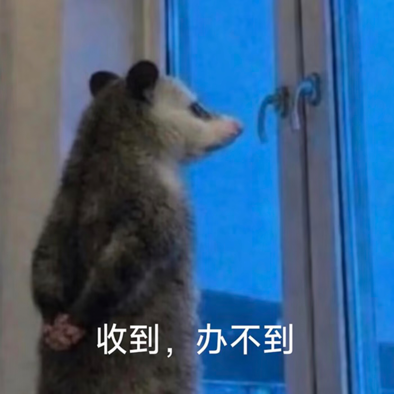 一个电话就能解决的事逼人走投无路 明明一通电话就能解决的小事，层层关卡把人逼到无