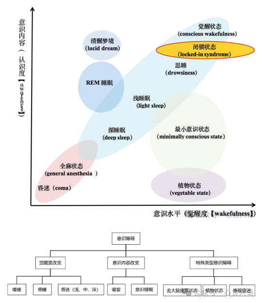 意识障碍