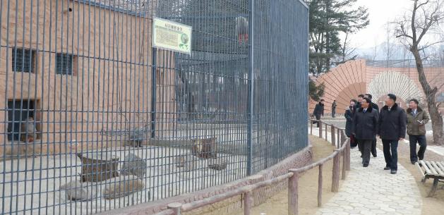 慈江道新建江界动物园
慈江道出色地建设了江界动物园。动物园位于江界市外山地区，建