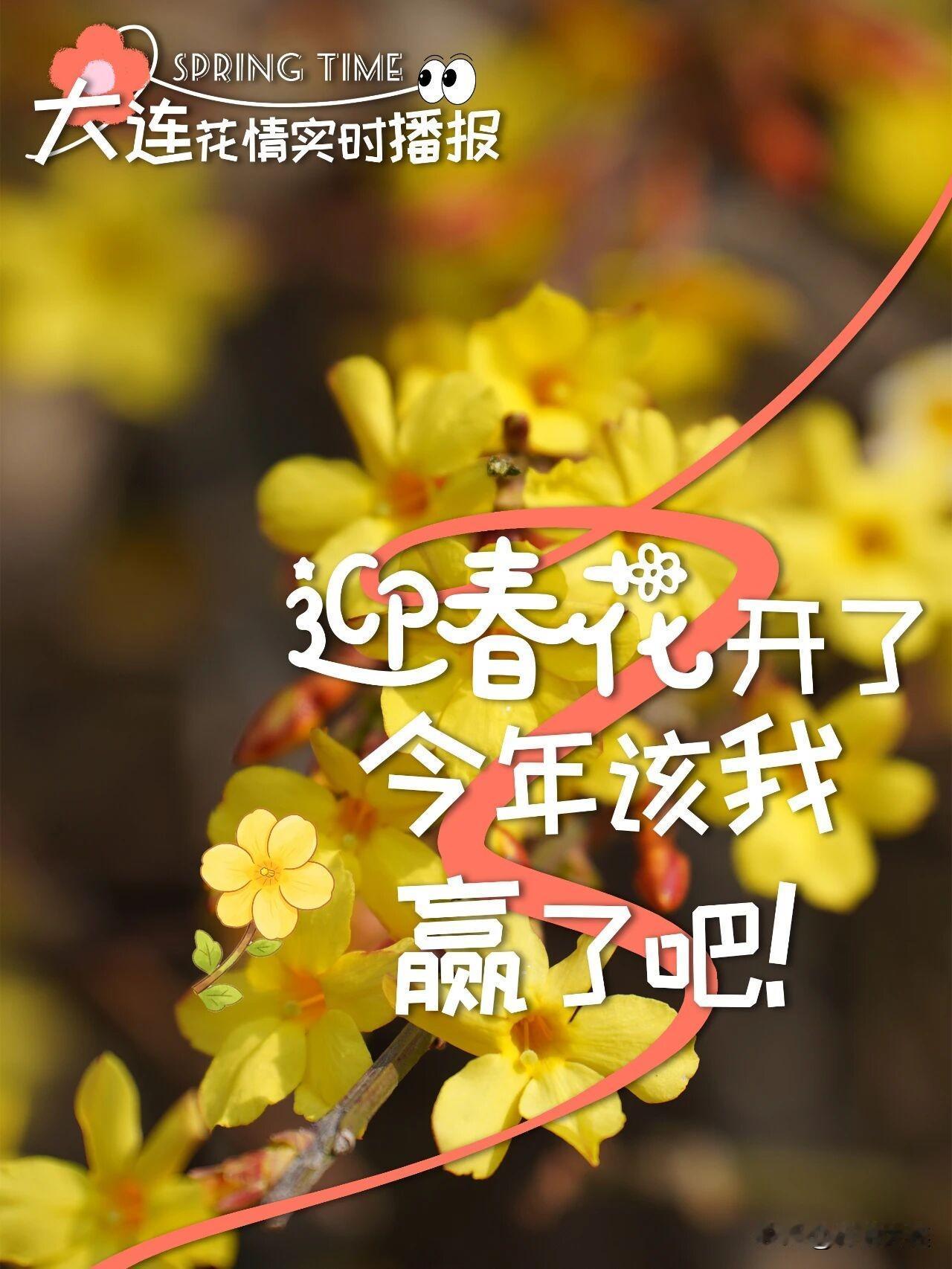 100个春天文案，不如大连此刻春暖

花开别羡慕南方的春意来得太早
大连的春风?