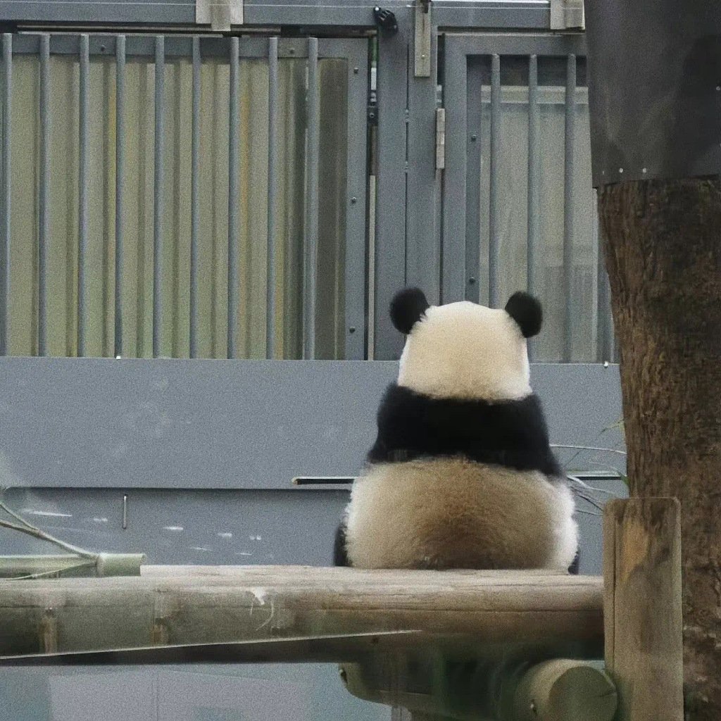 头像｜怪到极致是可爱#漫视界企划# ​​​