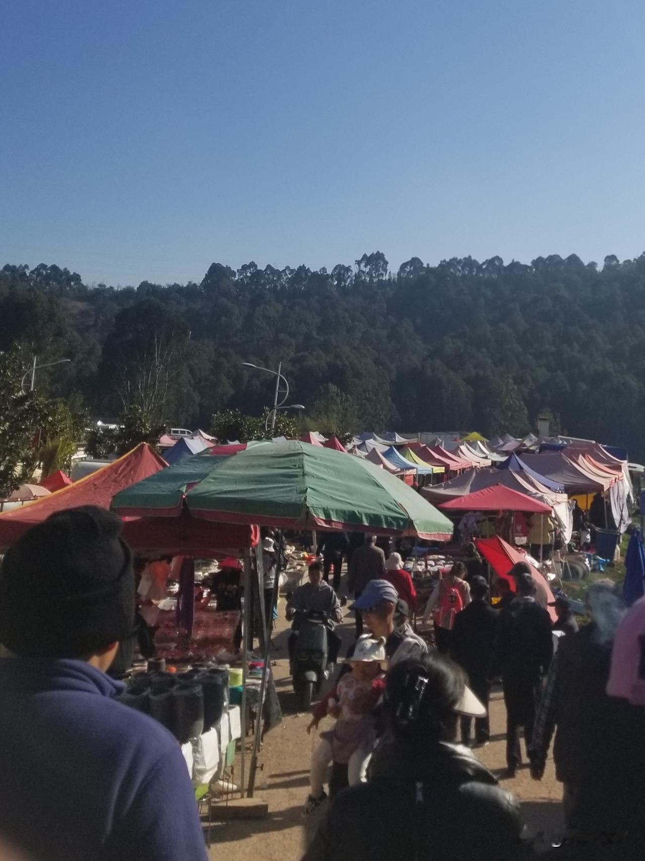 一如既往，每周四的赶集必定是要去逛一逛的。倒不是非要买多少东西，只是想去感受那人