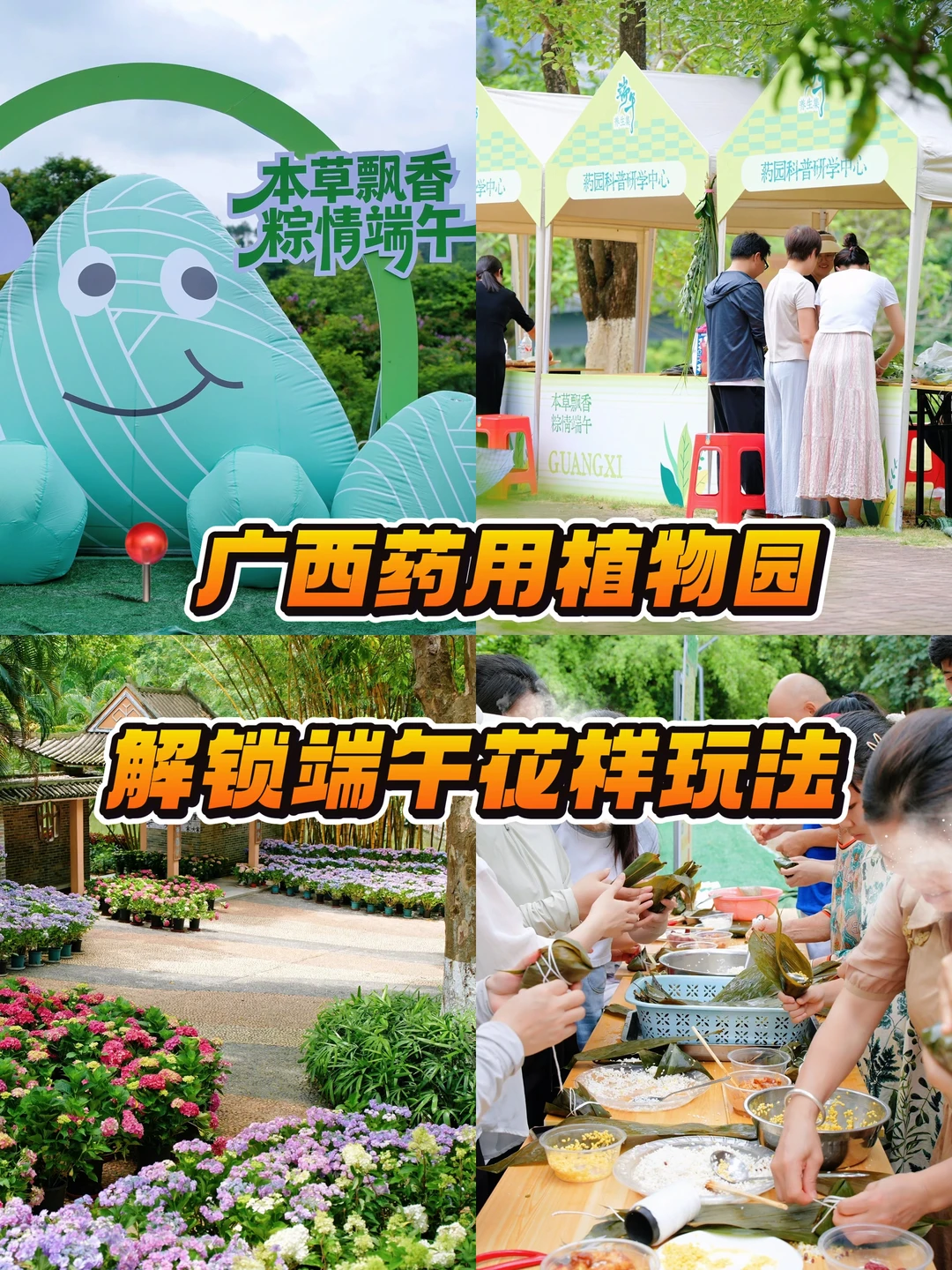 南宁端午出游好去处｜广西药用植物园🍃