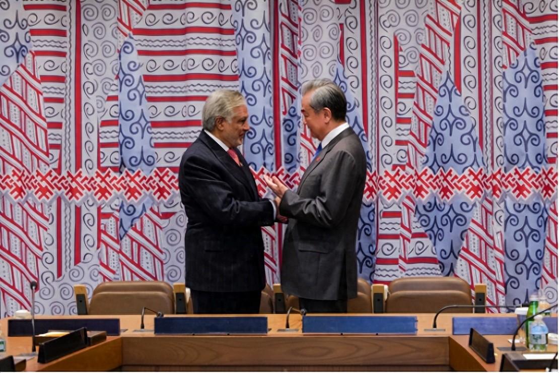 以后没有巴铁了?王毅外长在会见巴基斯坦外长给巴方留下一句忠言。

王毅刚结束对印