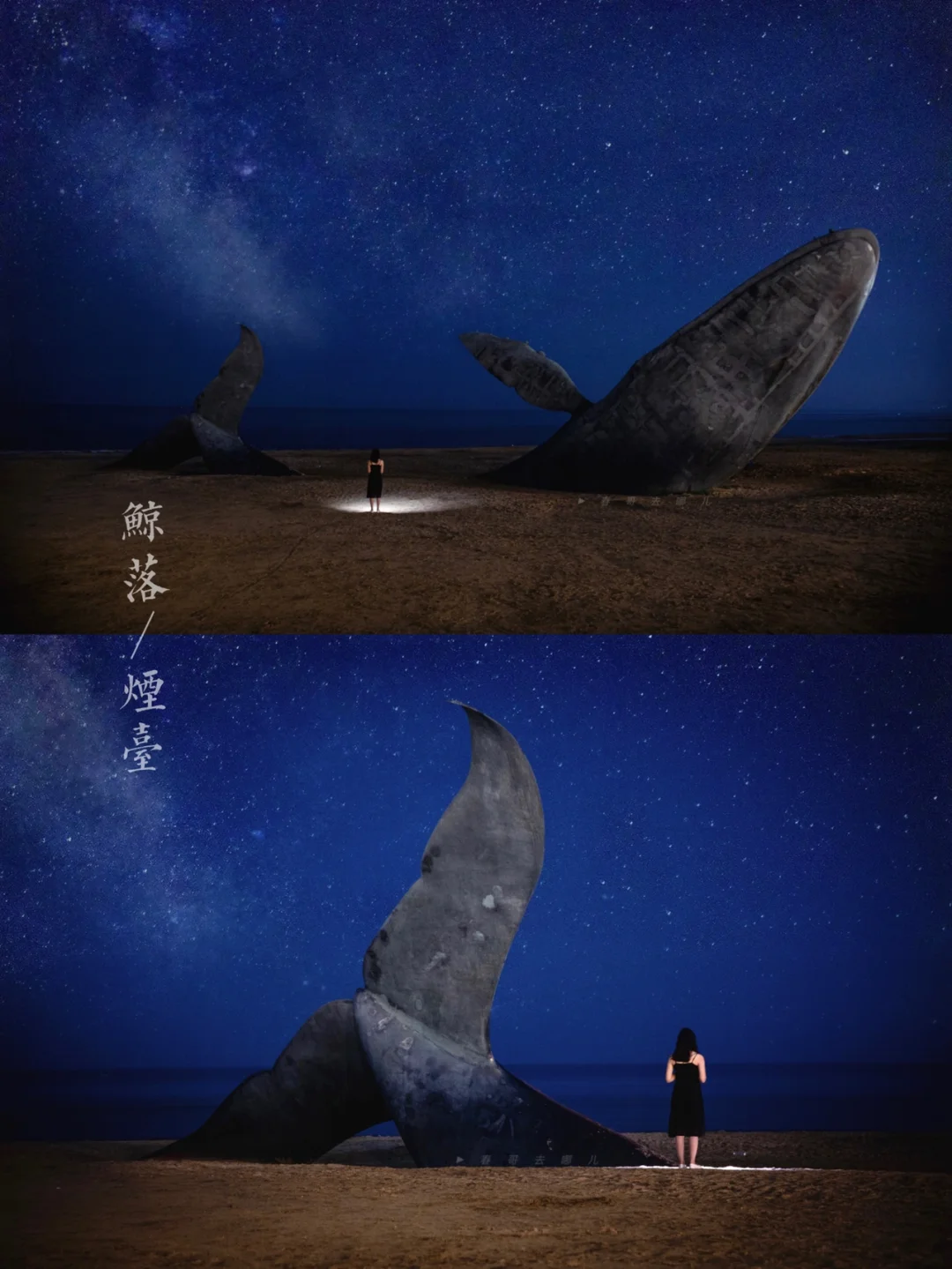 深夜打卡烟台鲸落，拍到世界尽头的孤独