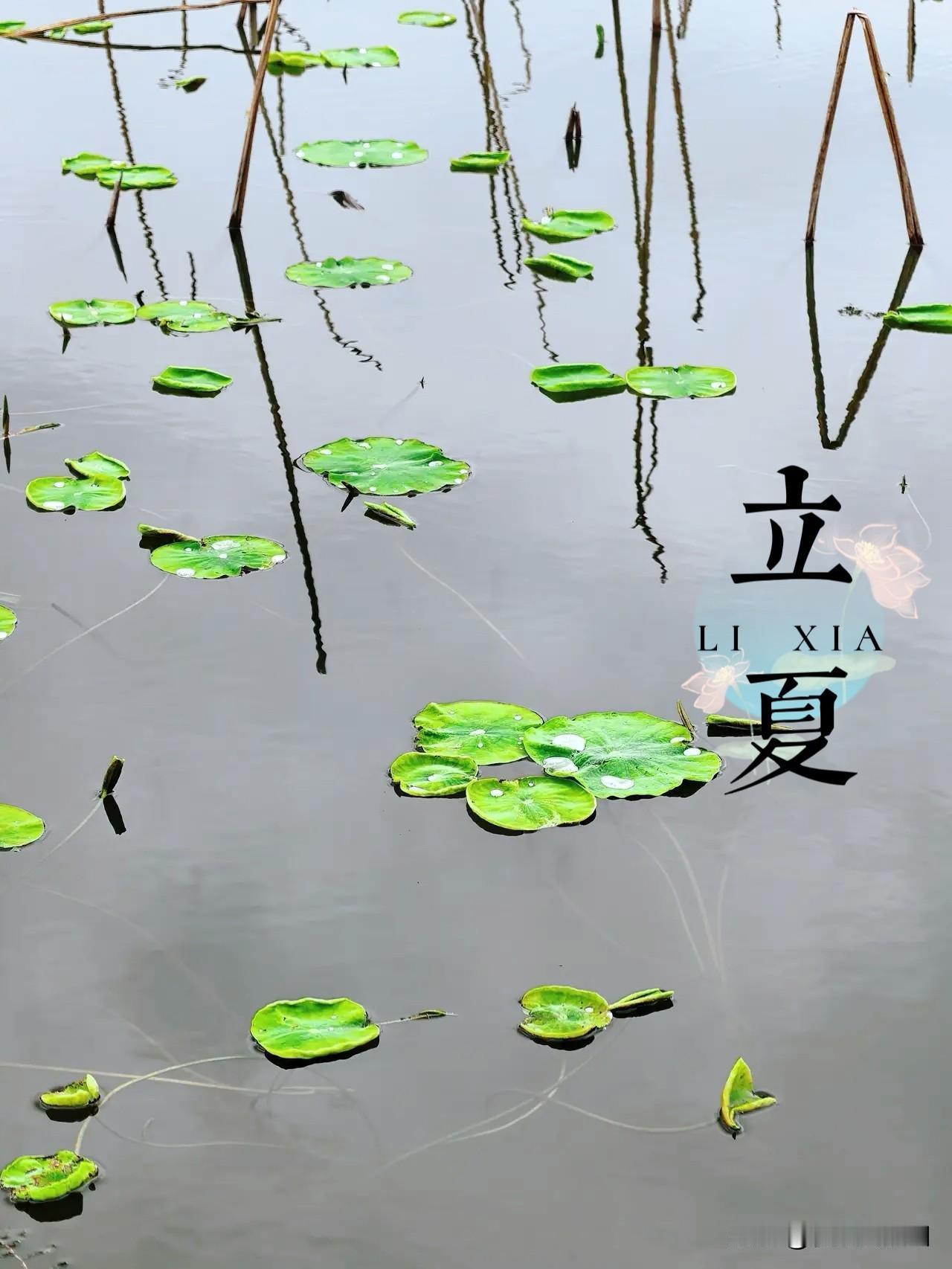 万物热烈，爱意盎然。
时间开启了新的一季，愿你一往无前，万事都胜意。