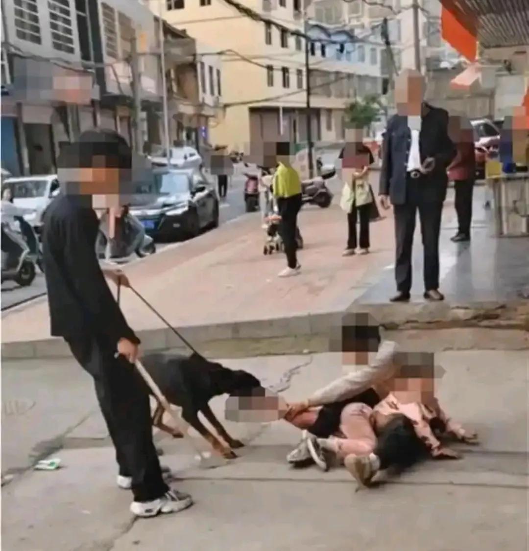 新规定就是好，这下狗主人再也不敢牛逼了吧？
襄阳今年以来拘了3个狗主人。一个是农