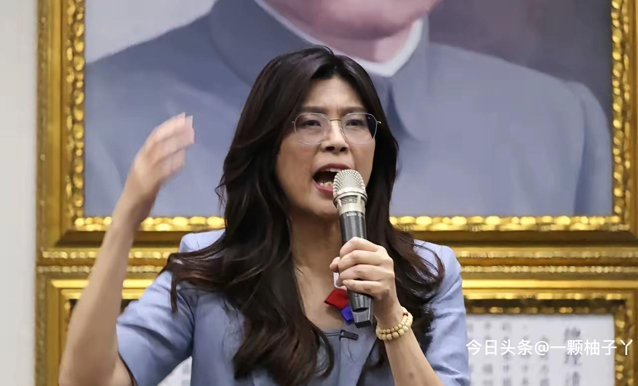 台湾省国民党主席郑丽文近期公开活动不断，发言也相当直白。她在活动中喊话，司法不该