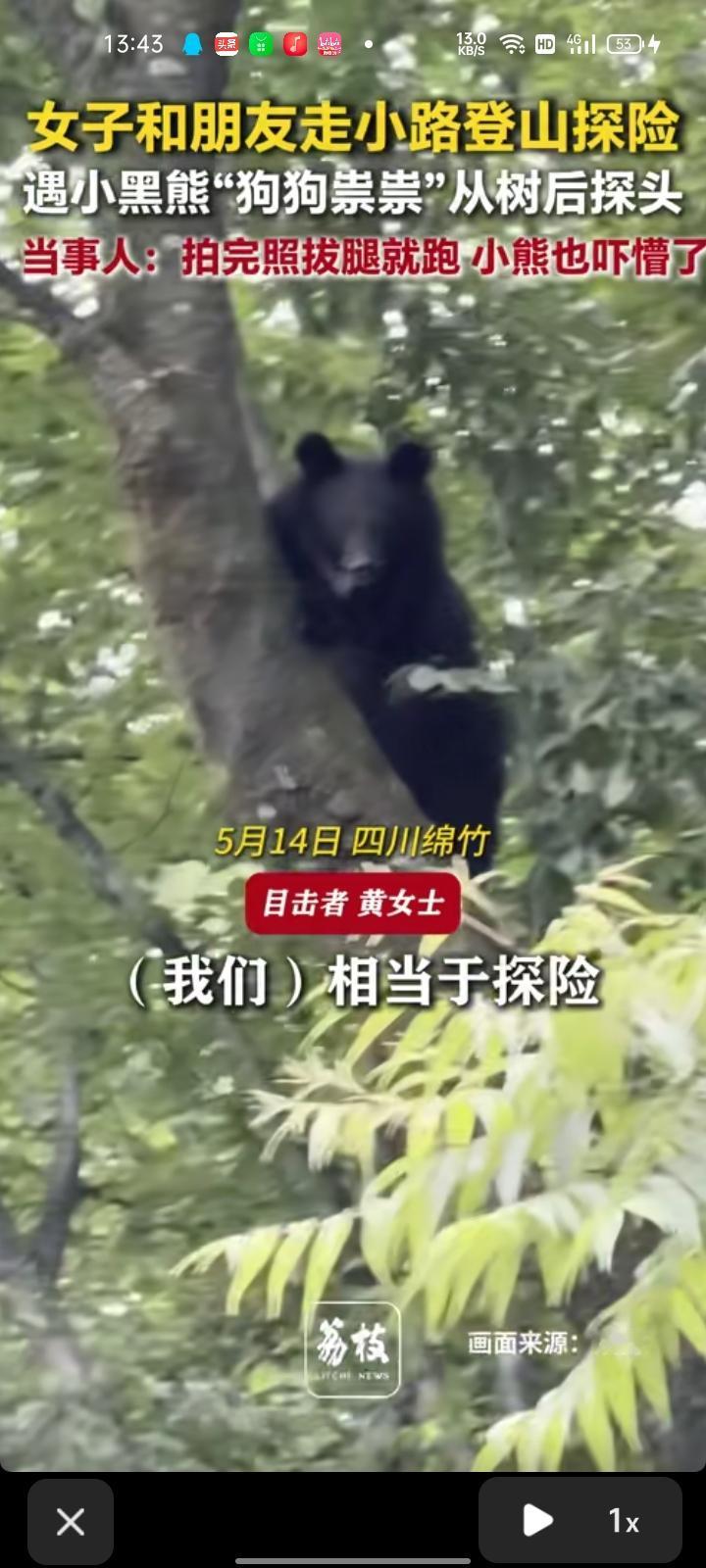 5月14日，德阳绵竹市。网友发视频称，和朋友走小路登山探险，突然间听到树上有什么
