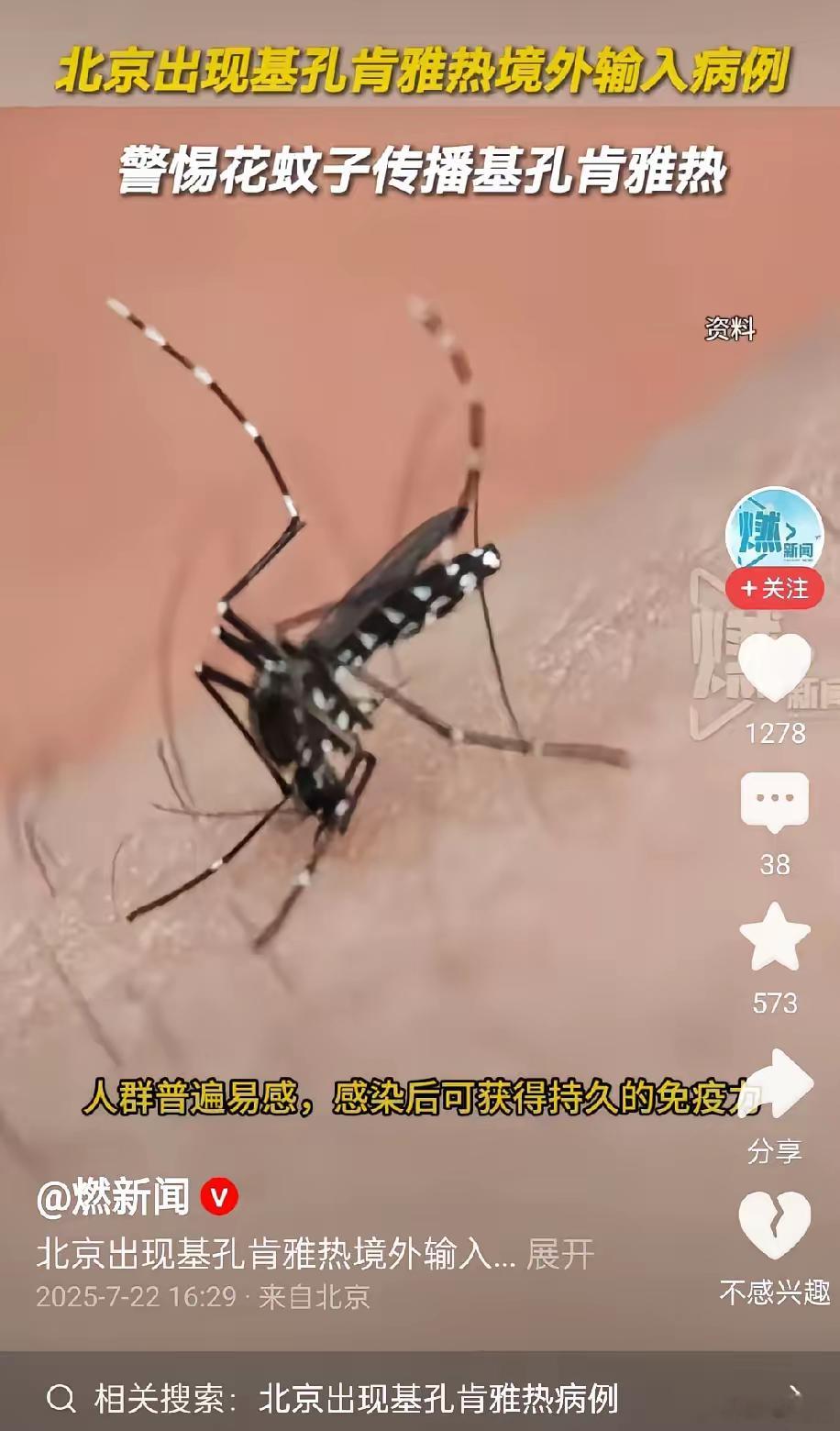 警惕！我国海关查获“金色蚊子“！这真的是细思极恐，外国人想要通过各种手段来扰乱中