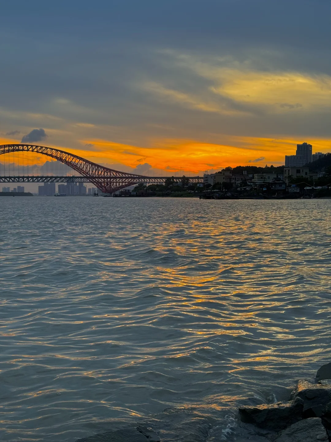 这才是LIVE图的意义‼️广州这片橘子海美哭了