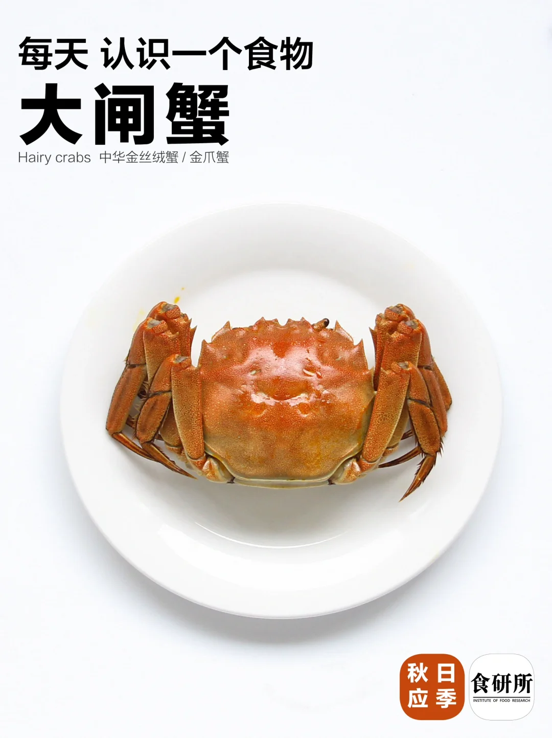 如何蒸好一只大闸蟹？要看重量！