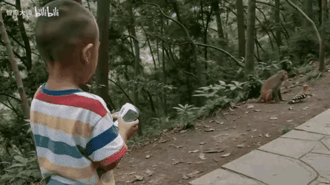 投桃报李