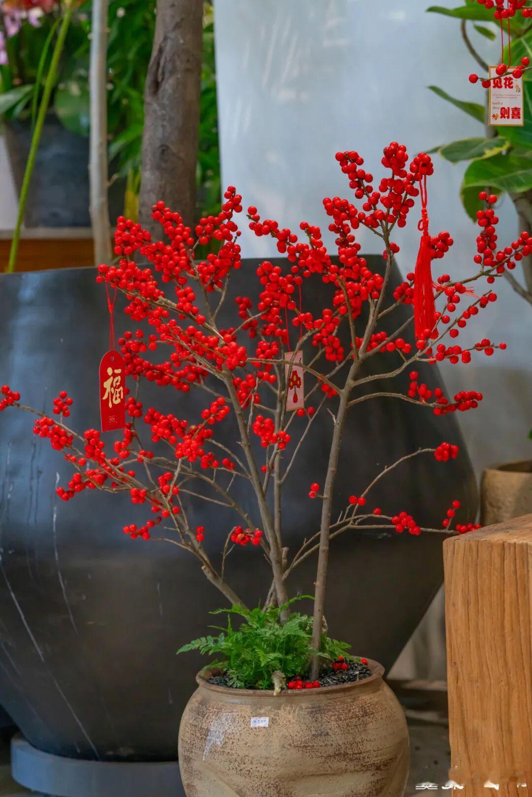 2026年中央一号文件重磅发布，这是十八大以来第14个聚焦“三农”的一号文件，锚