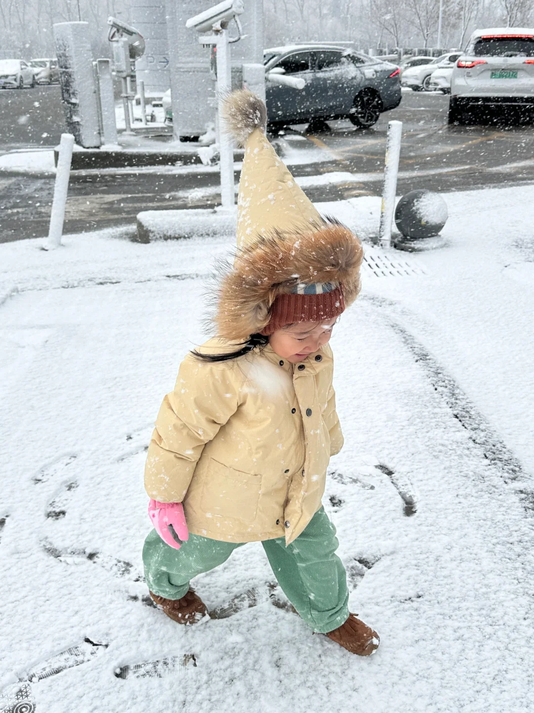 今年冬天迟迟等不到济南的雪