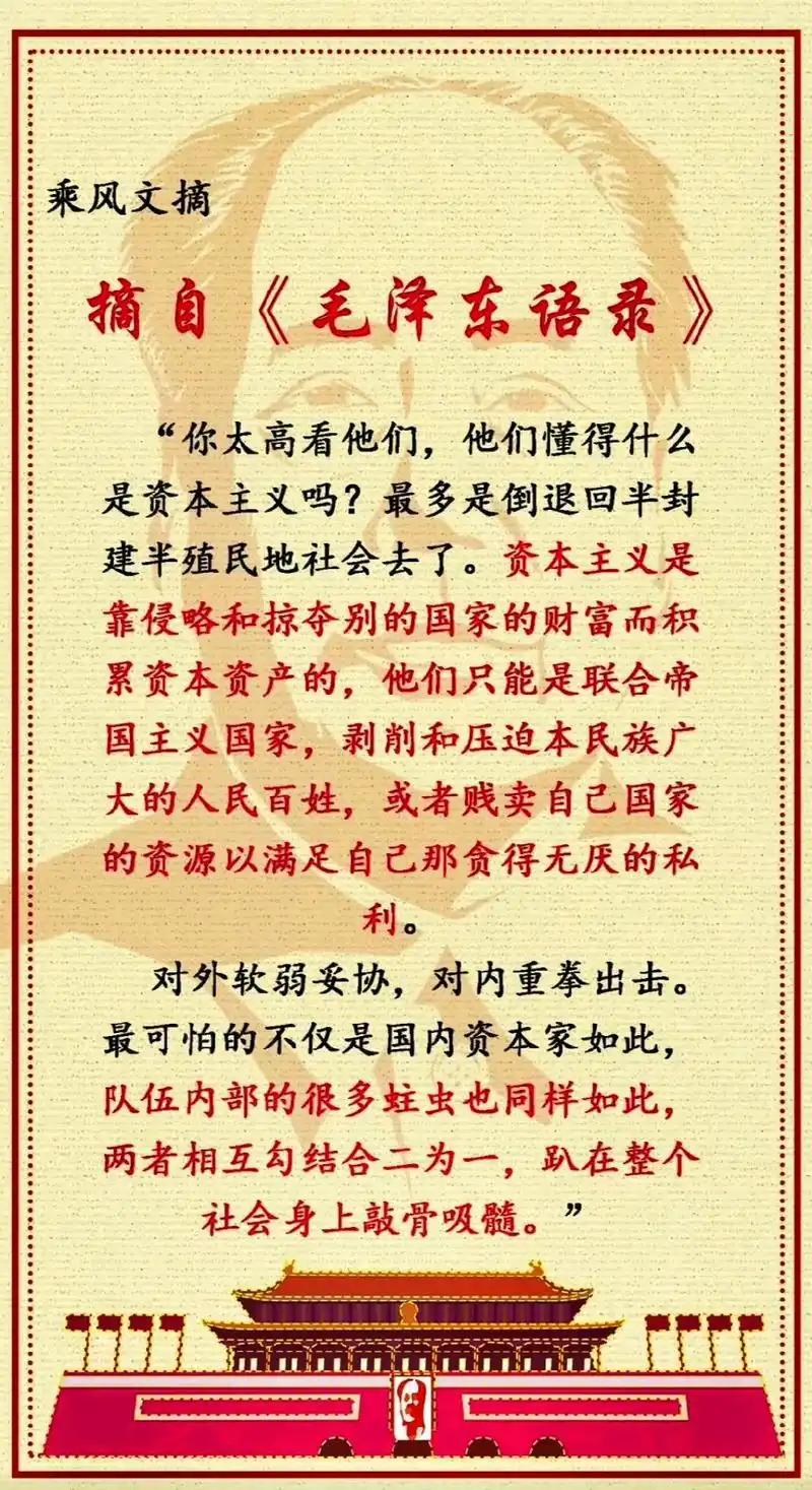 “你太高看他们了，他们懂得什么是资本主义吗？最多是倒退回半封建半殖民地社会去了。