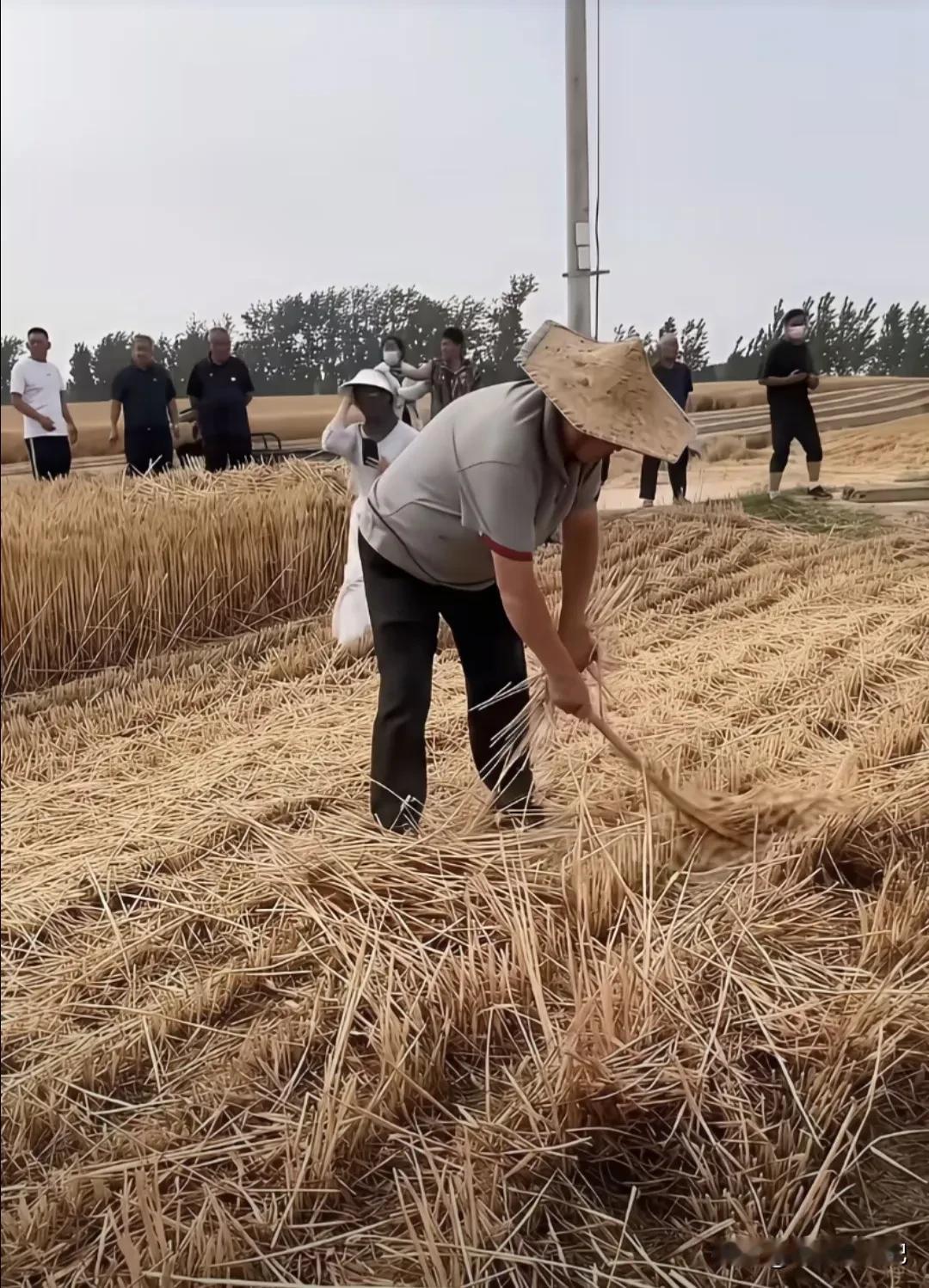 大衣哥：四千多块钱比四千万更开心   大衣哥今天在麦地里用镰刀割麦，一群人站在旁